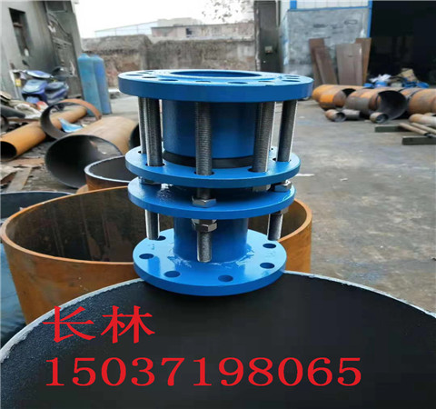 �|���h�f���a��E2������s���^���|(zh��)DN600Ҏ(gu��)����̖